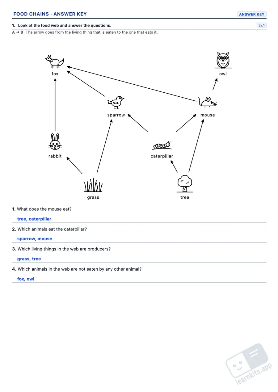Food chain and food web worksheets to print: sample answer key of the same worksheet, first page