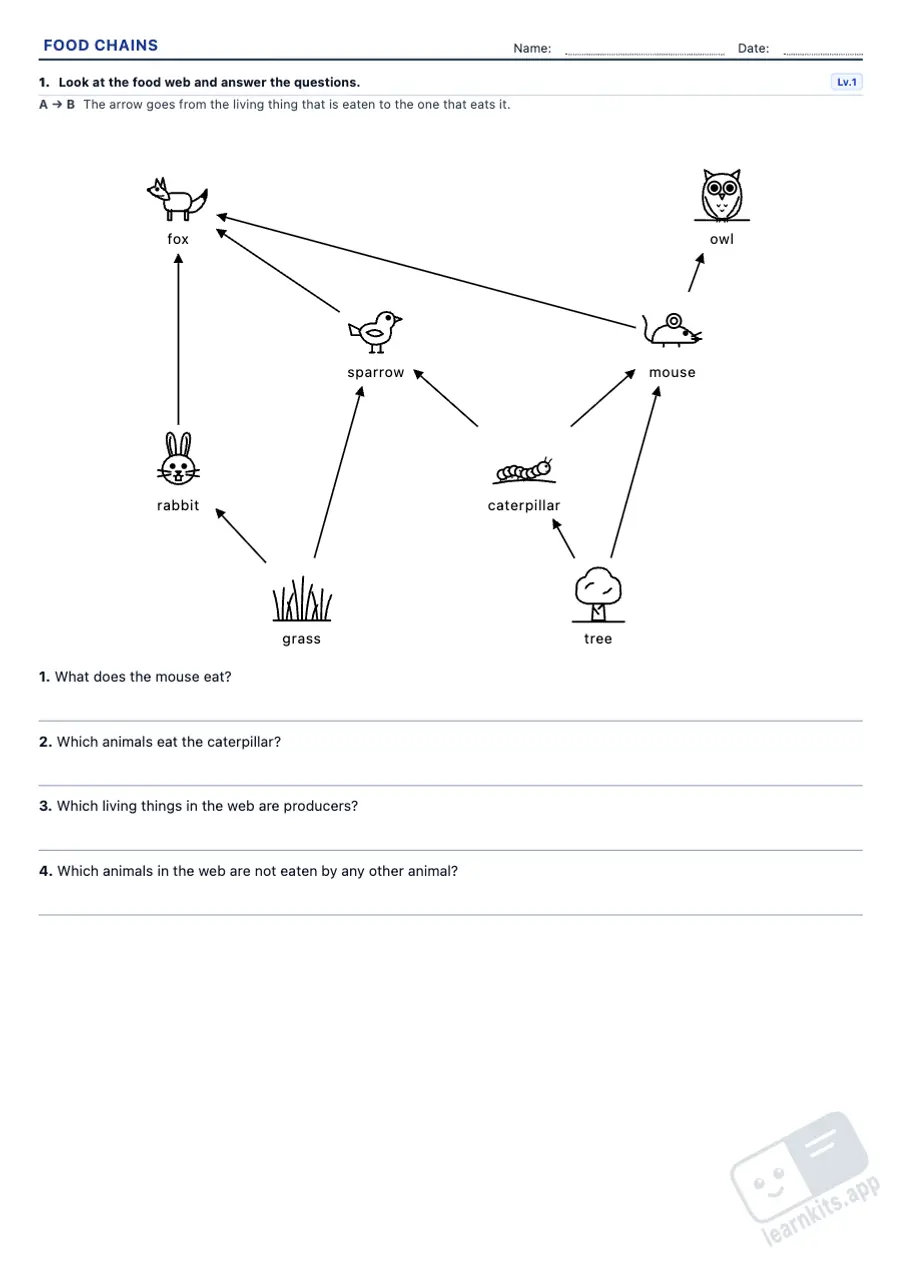 Food chain and food web worksheets to print: sample printable A4 worksheet, first page of the student sheet