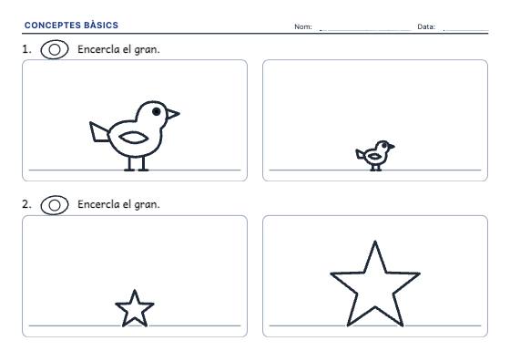 Fitxa d’exemple: Conceptes Bàsics