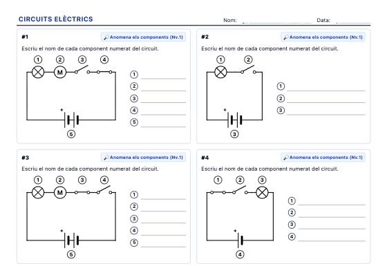Fitxa d’exemple: Circuits Elèctrics