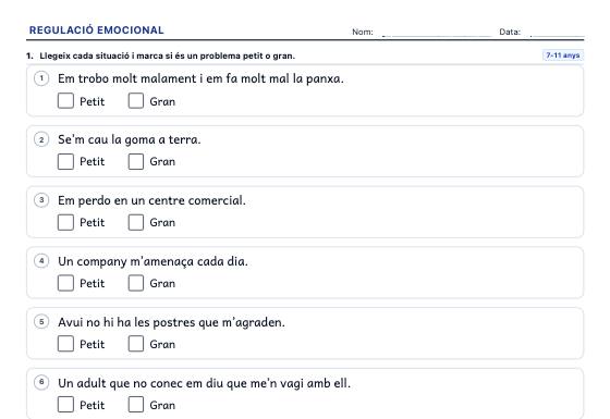 Fitxa d’exemple: Regulació Emocional
