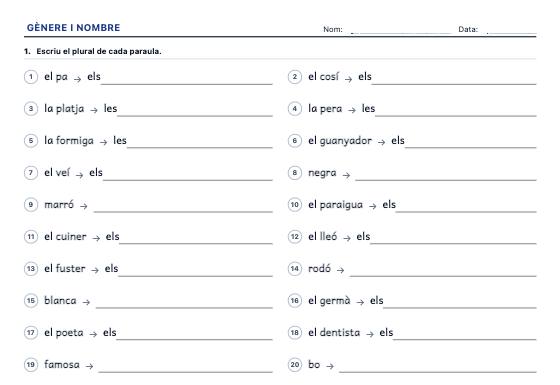 Fitxa d’exemple: Gènere i Nombre