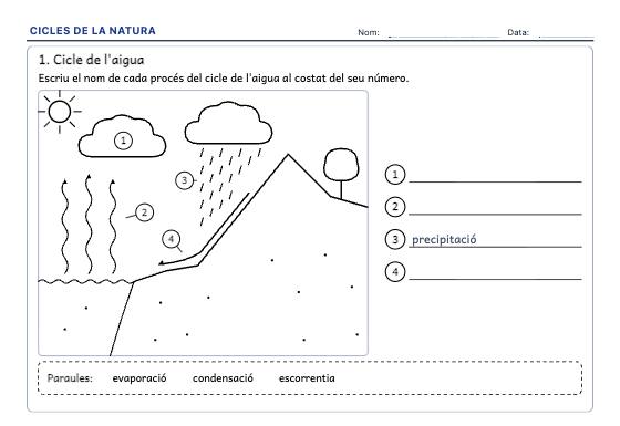 Fitxa d’exemple: Cicles de la Natura