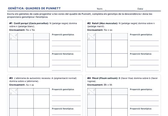 Fitxa d’exemple: Quadres de Punnett