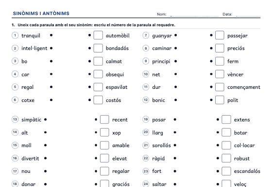 Fitxa d’exemple: Sinònims i Antònims