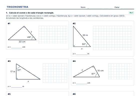 Fitxa d’exemple: Trigonometria