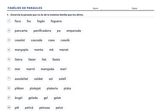Fitxa d’exemple: Famílies de Paraules, Prefixos i Sufixos