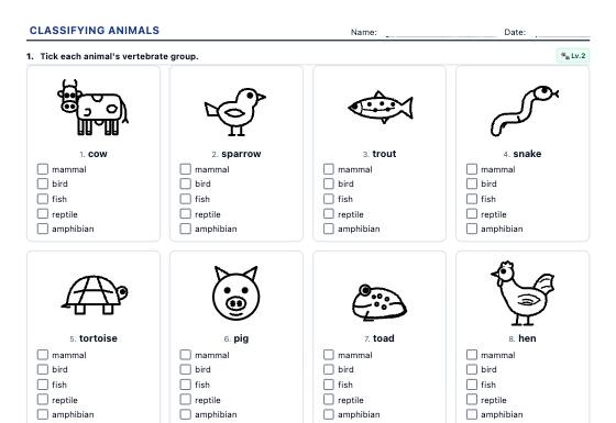 Sample worksheet: Animal Classification