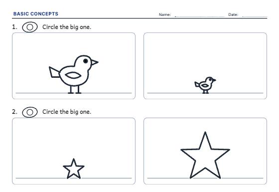 Sample worksheet: Basic Concepts