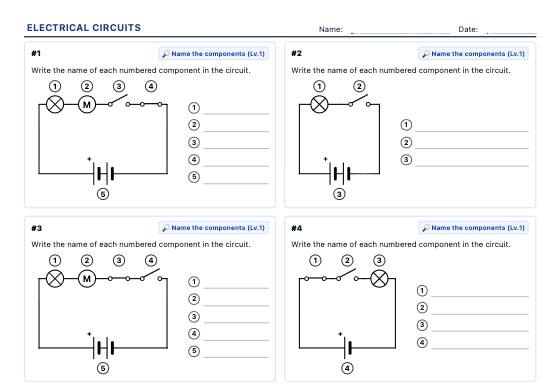 Sample worksheet: Electrical Circuits