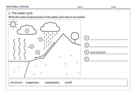 Sample worksheet: Natural Cycles