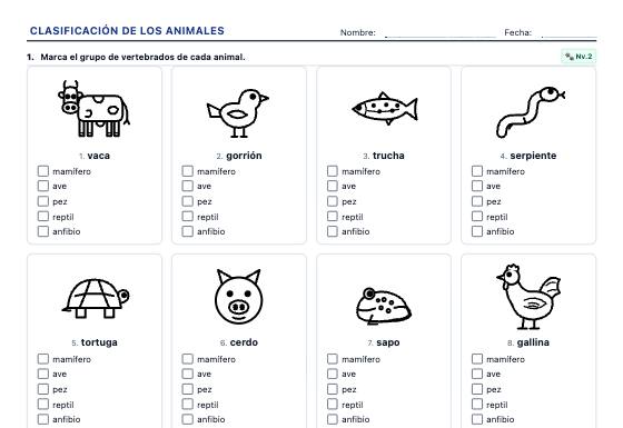Ficha de ejemplo: Clasificación de los Animales