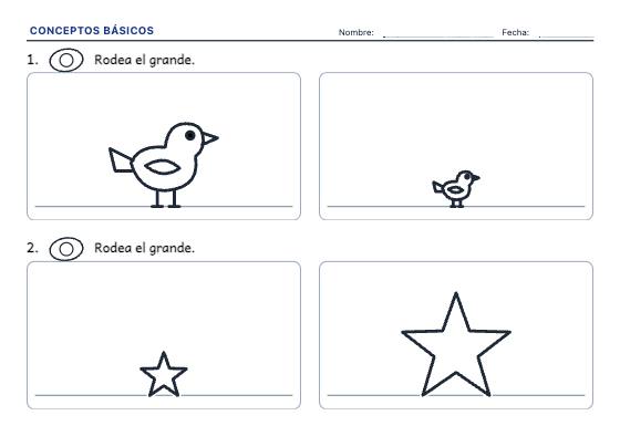 Ficha de ejemplo: Conceptos Básicos