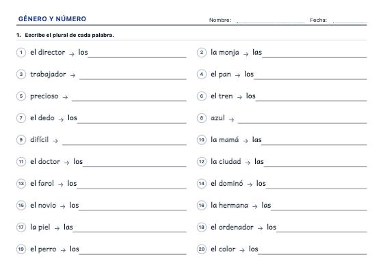 Ficha de ejemplo: Género y Número