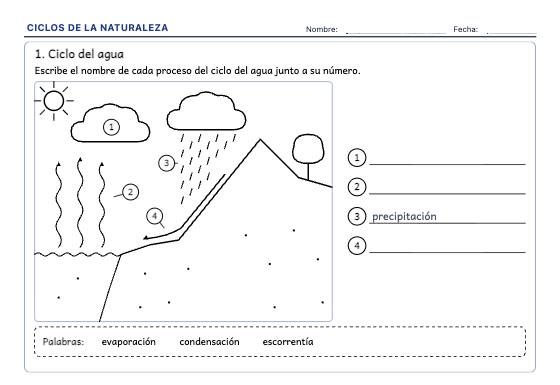 Ficha de ejemplo: Ciclos de la Naturaleza
