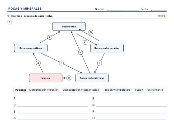 Ficha de ejemplo: Rocas, Minerales y Tectónica de Placas