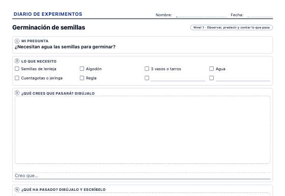 Ficha de ejemplo: Diario de Experimentos